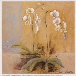 Orchid Variation II by Gabor Barthez