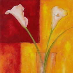 Callas auf warmem by Gunter Gohn