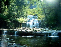 Untitled by Jorg Heumuller