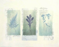 Designer Stamps I by Gillian Fullard