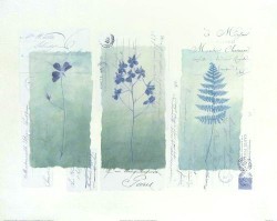Designer Stamps II by Gillian Fullard