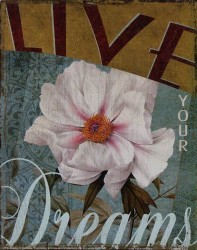 Live Your Dreams by Kelly Donovan