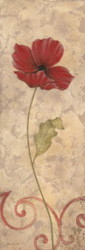 Poppy Passion I by Jane Carrol