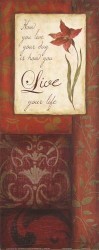 Live Your Life by Janet Brignola-Tava