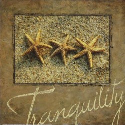 Tranquility by Dora Rotondella