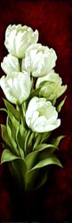 Magnificent Tulips I