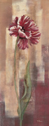 Parrot Peony by Maria Donovan