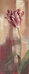 Parrot Tulip by Maria Donovan