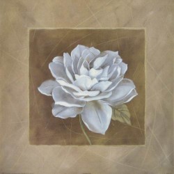 White Chocolate I by Carol Robinson