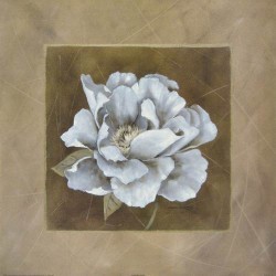 White Chocolate II by Carol Robinson