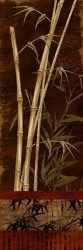 Bamboo Garden I by Conrad Knutsen