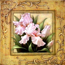 Pretty in Pink Irises by Igor Levashov