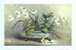 Orchid Passion by Paul Mathenia