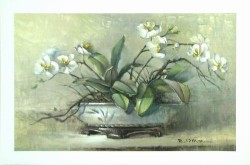 Orchid Elegance by Paul Mathenia