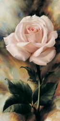 One Rose by Igor Levashov