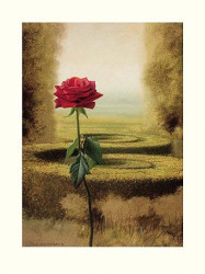 Mystic Garden II by Ger Stallenberg