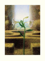 Mystic Garden IV by Ger Stallenberg