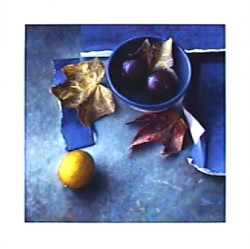 Opposits Attracks by Ger Stallenberg