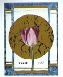 Tulip 1932