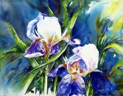 Irises by Hanneke Floor