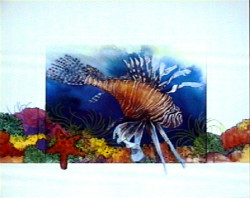 Tropical Sealife V by Glo Hill