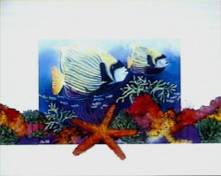 Tropical Sealife VI by Glo Hill