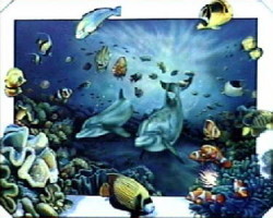 Underwater Playground