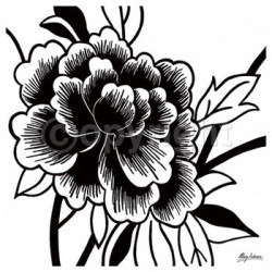 Black Rose I by Hilary Anderson