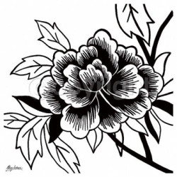 Black Rose II by Hilary Anderson