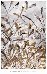 Winter Floral I by Michael Hall