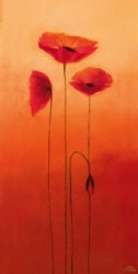 Poppy Elegance III by Erika Heinemann