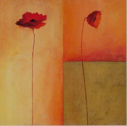 Dreierlei Mohn II by Erika Heinemann