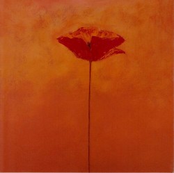 Poppy Elegance I by Erika Heinemann