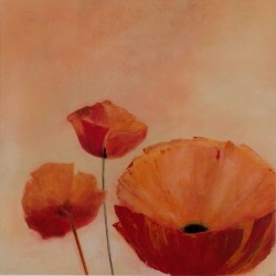 Poppy Queen by Erika Heinemann