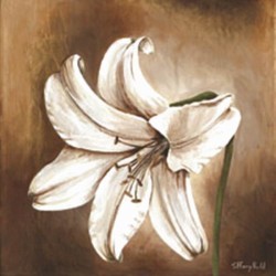 Lily on Gold II by Tiffany Budd