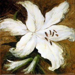Lily White I by Anne Searle