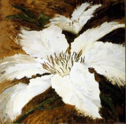 Lily White II by Anne Searle