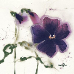 Les Pensees V by Marthe