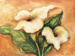 Calla Lillies by Ida von Konarzewski