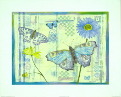 Butterflies in Bloom II by L Davies