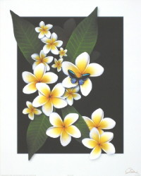 Franjipani by Carl Hensel