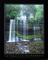 Russell Falls by Darren McCormack