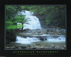 Liffey Falls by Darren McCormack