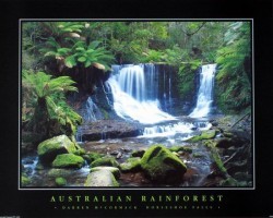 Horseshoe Falls by Darren McCormack