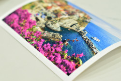 Matte Smooth Paper - Colour Prints