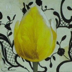 Orange Tulip by Joadoor