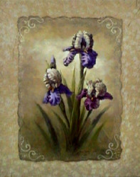 Iris Scroll by Vivian Flasch