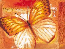 Fairy Helena by Joadoor