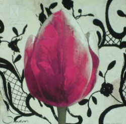 Purple Tulip by Joadoor
