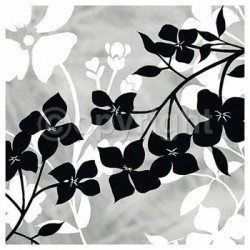 Shadow Composition by Kate Knight